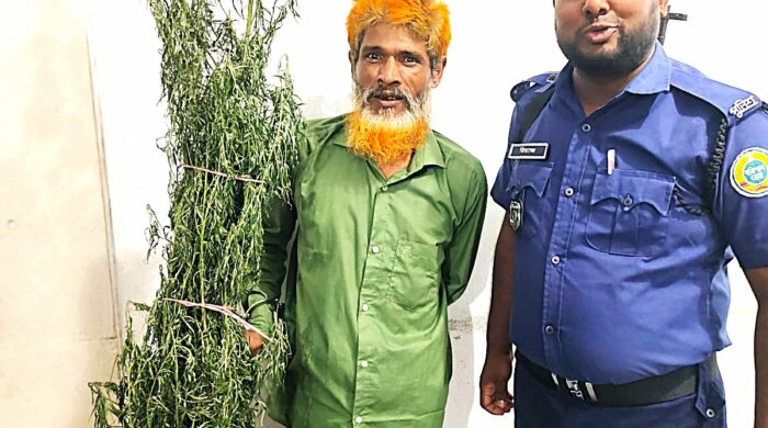 মির্জাগঞ্জে গাঁজার গাছসহ মাদকসেবী ও শ্রমিকলীগ সভাপতি গ্রেফতার