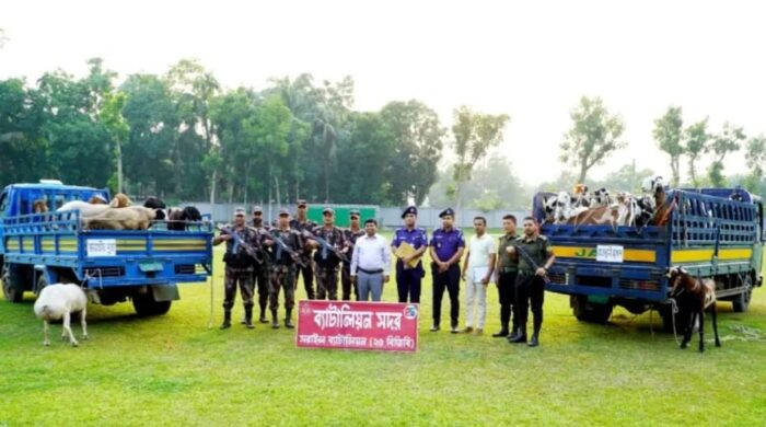 ট্রাক-পিকআপসহ আড়াই কোটি টাকার ভারতীয় ছাগল-দুম্বা আটক