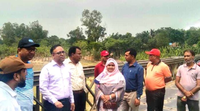 নওগাঁর বদলগাছীতে ছোট যমুনা নদী দখল ও দূষণে বিপর্যস্ত: পরিদর্শনে জাতীয় নদী রক্ষা কমিশন