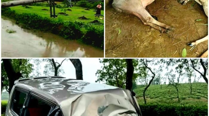 চুনারুঘাটে কালবৈশাখী ঝড় ও বজ্রপাতে ব্যাপক ক্ষয়ক্ষতি নিহত ১ আহত ৩