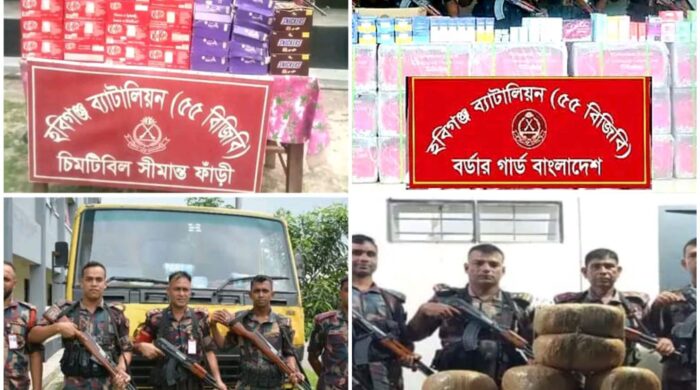 হবিগঞ্জে ২ কোটি ৮৫ লাখ টাকার ভারতীয় চোরাচালানি পণ্য ও যানবাহন জব্দ করেছে বিজিবি