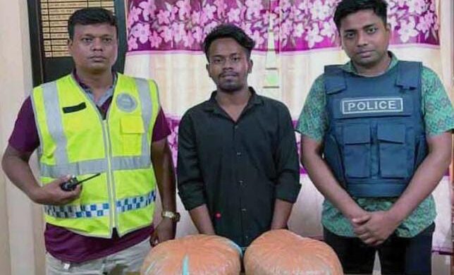 মাধবপুরে ৮ কেজি গাঁজাসহ মাদক পাচারকারি গ্রেপ্তার