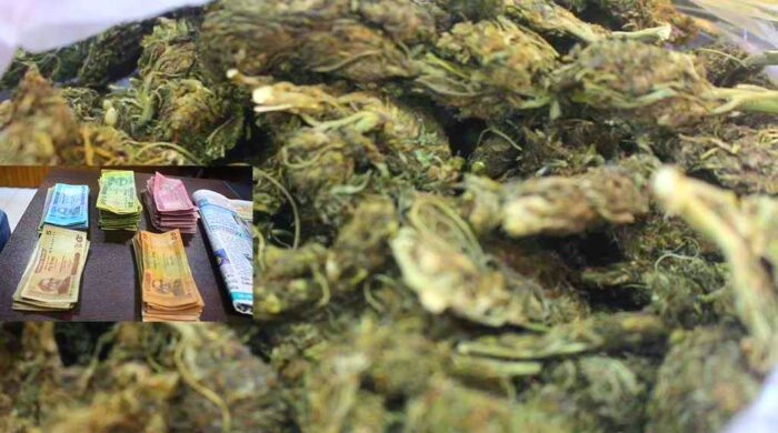 বদলগাছী থানা পুলিশের অভিযানে এক কলেজ ছাত্রী মাদক কারবারি আটক